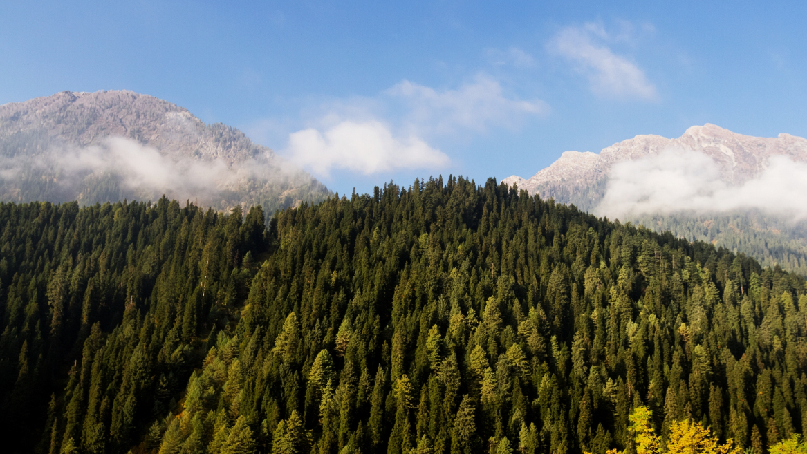 Pahalgam, Kashmir 