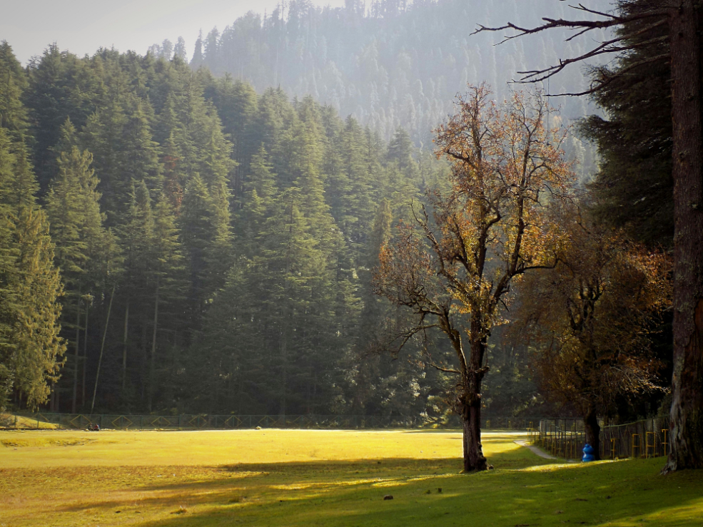 khajjiar.jpg