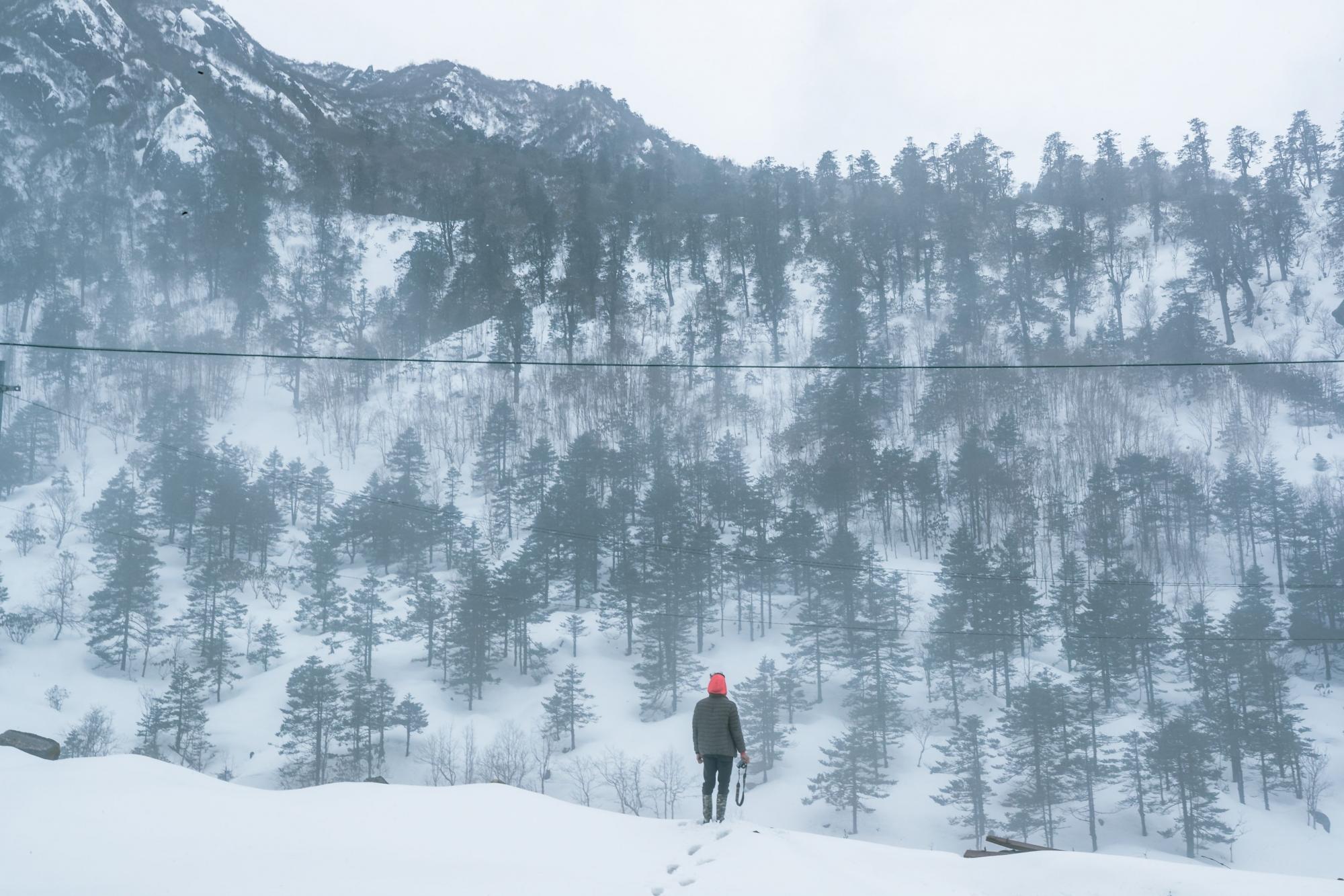 Sikkim in winters, Zostel Sikkim