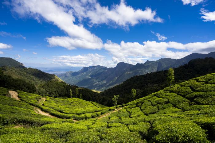 Munnar 